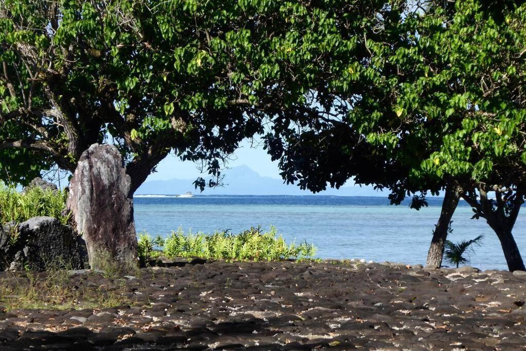 Raiatea, Opoa, Studio Du Fare Reve, Acces Mer Privatif Zewnętrze zdjęcie