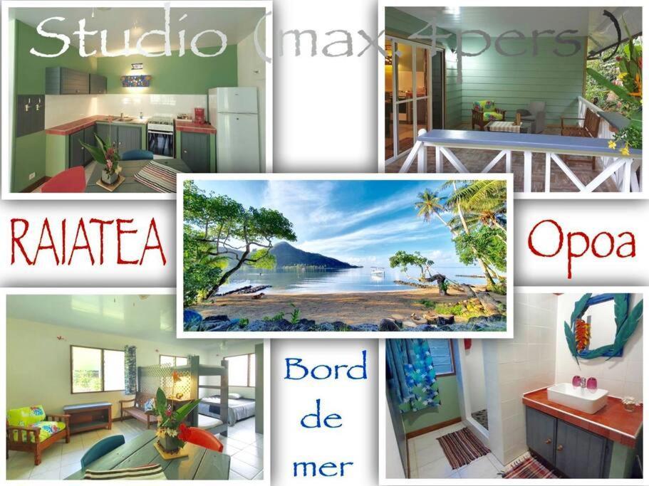 Raiatea, Opoa, Studio Du Fare Reve, Acces Mer Privatif Zewnętrze zdjęcie