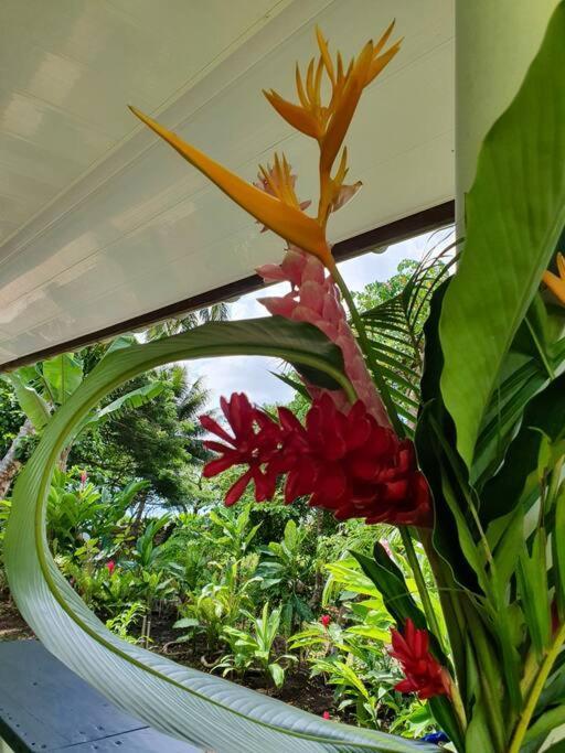 Raiatea, Opoa, Studio Du Fare Reve, Acces Mer Privatif Zewnętrze zdjęcie