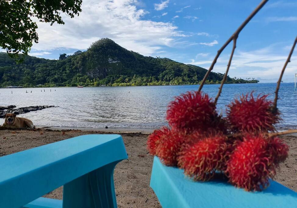 Raiatea, Opoa, Studio Du Fare Reve, Acces Mer Privatif Zewnętrze zdjęcie